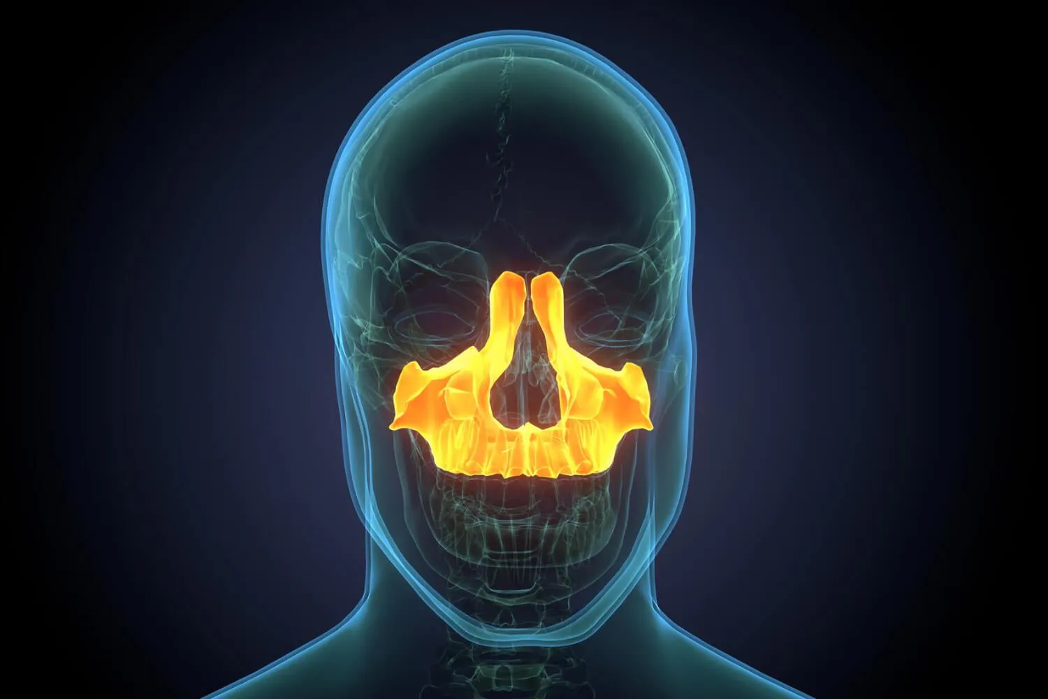 Sinus